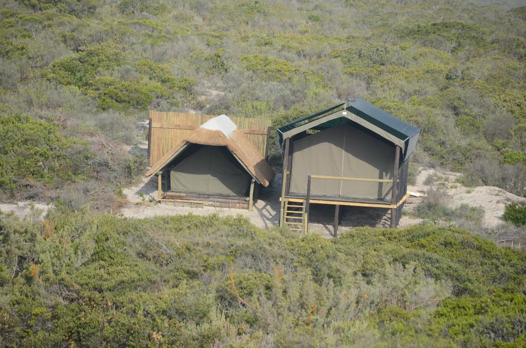 West Coast Luxury Tents Dwarskersbos Buitenkant foto