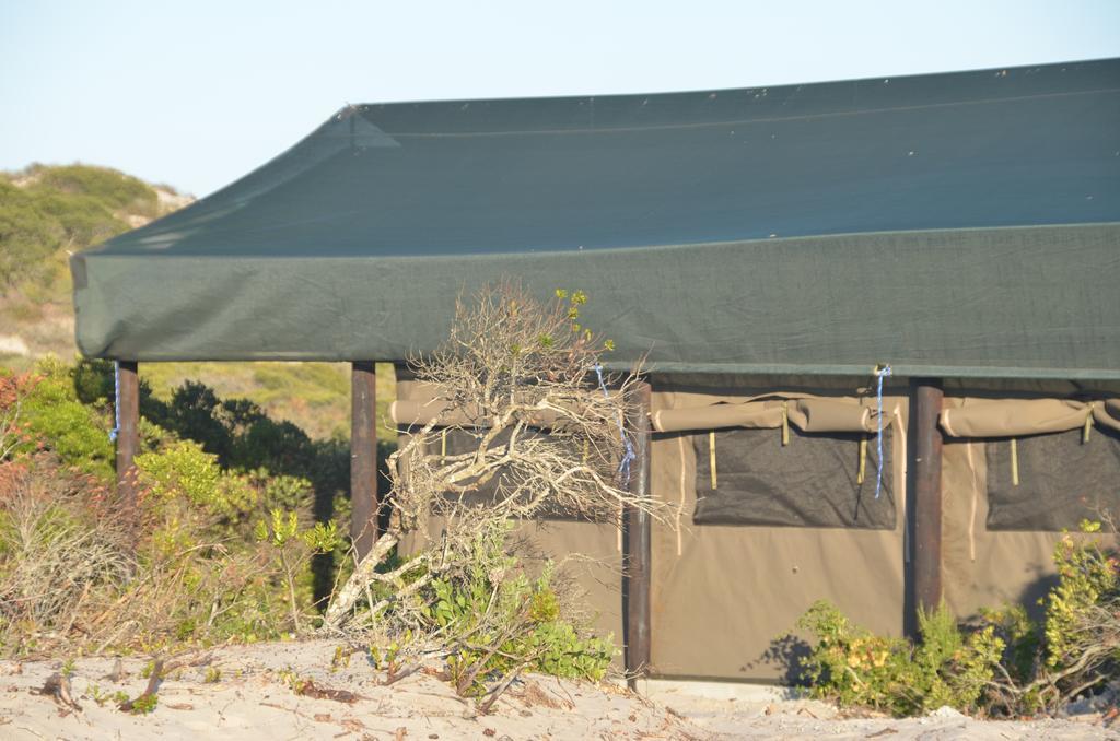 West Coast Luxury Tents Dwarskersbos Buitenkant foto
