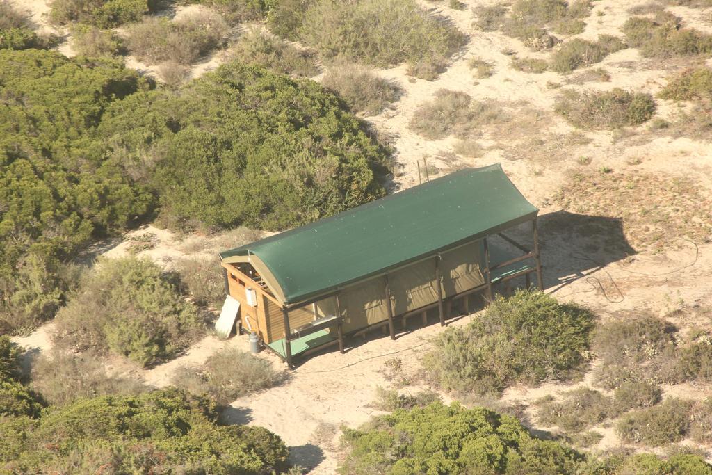West Coast Luxury Tents Dwarskersbos Buitenkant foto
